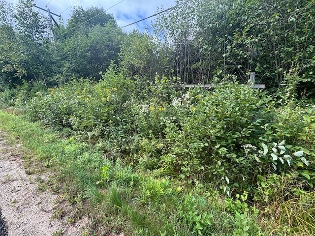 












Ch. Maskinongé

,
Boileau,







QC
J0V1N0

