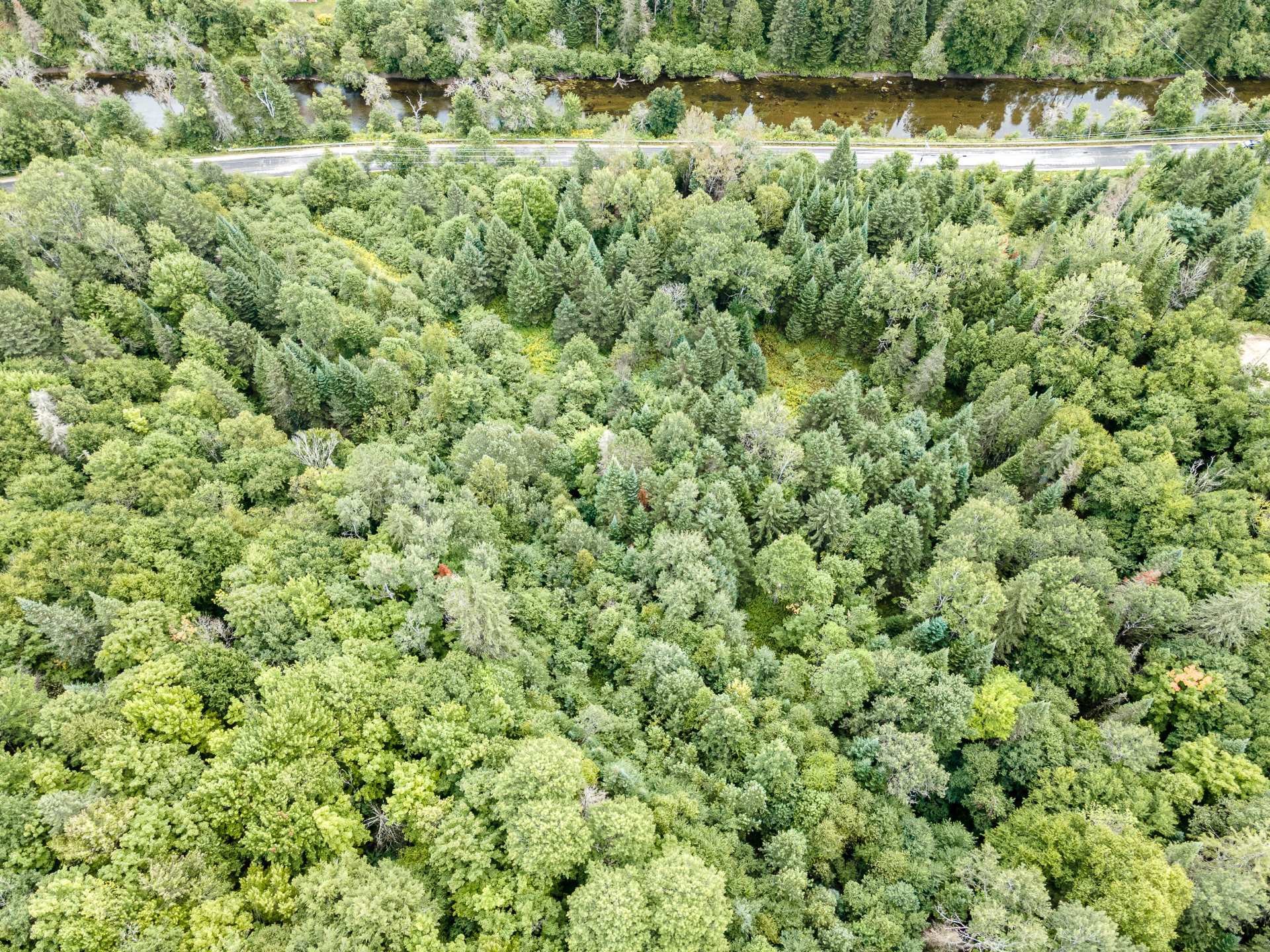 












Ch. Maskinongé

,
Boileau,







QC
J0V1N0

