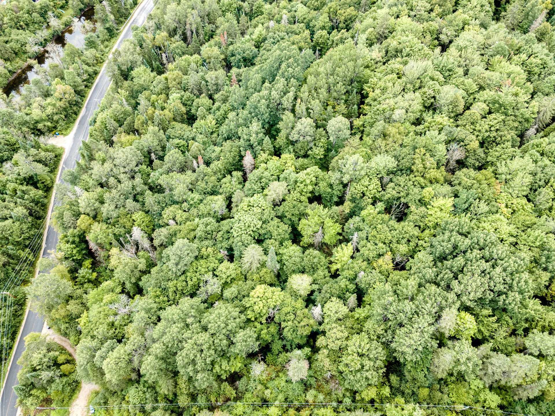 












Ch. Maskinongé

,
Boileau,







QC
J0V1N0

