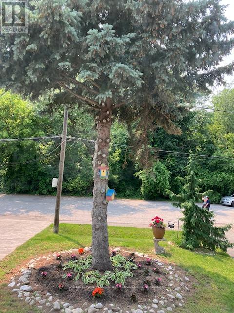 












15 COSMO ROAD

,
Toronto,




Ontario
M8X1Z3

