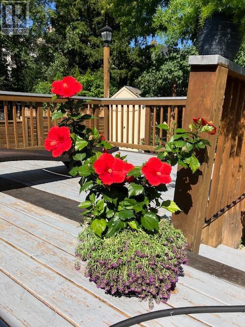 












15 COSMO ROAD

,
Toronto,




Ontario
M8X1Z3

