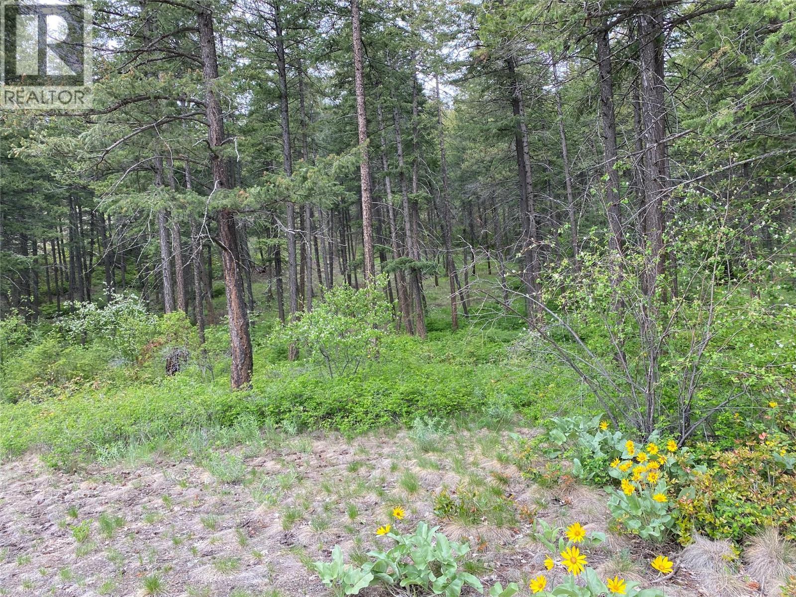 












1638 West Kelowna Road

,
West Kelowna,







British Columbia
V1Z3B7

