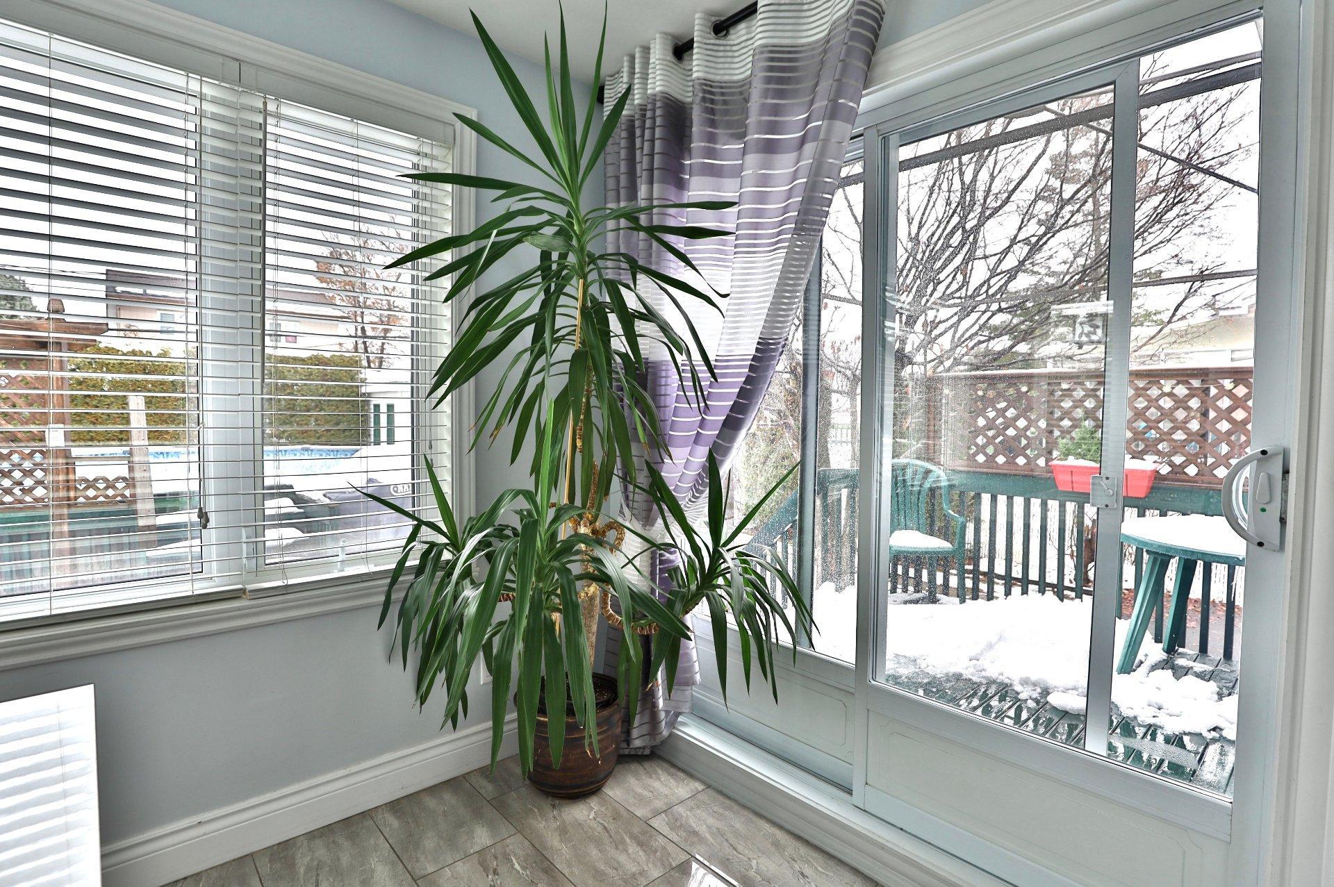 









3251


Boul. Roland-Therrien

,
Longueuil (Le Vieux-Longueuil),




QC
J4M2V9

