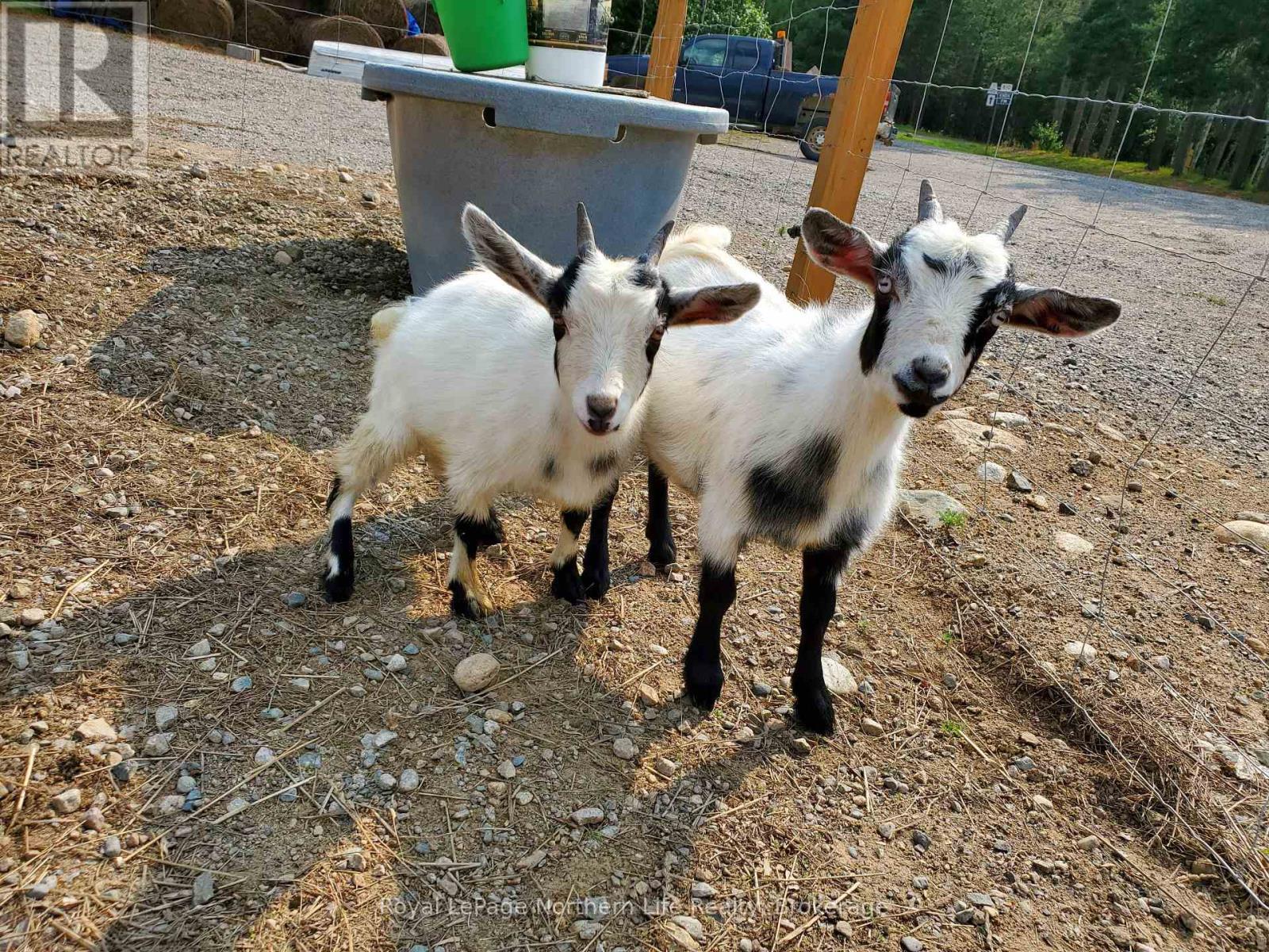 












CRH9+Q8 SABLES-SPANISH RIVER

,
Algoma Remote Area,




Ontario
P0P1P0

