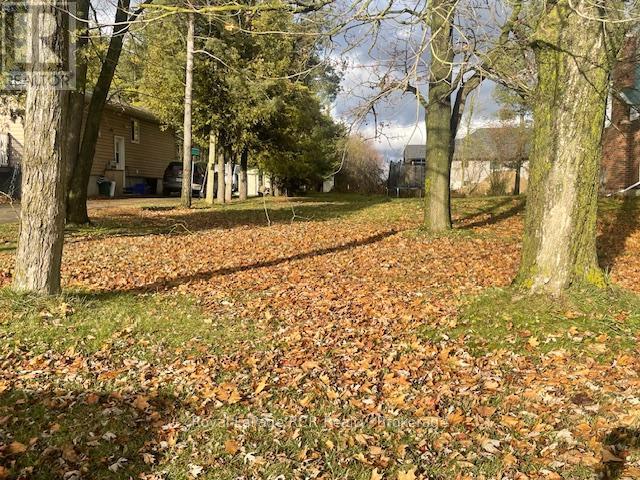 












460B DOMVILLE STREET

,
Wellington North (Arthur),







Ontario
N0G1A0

