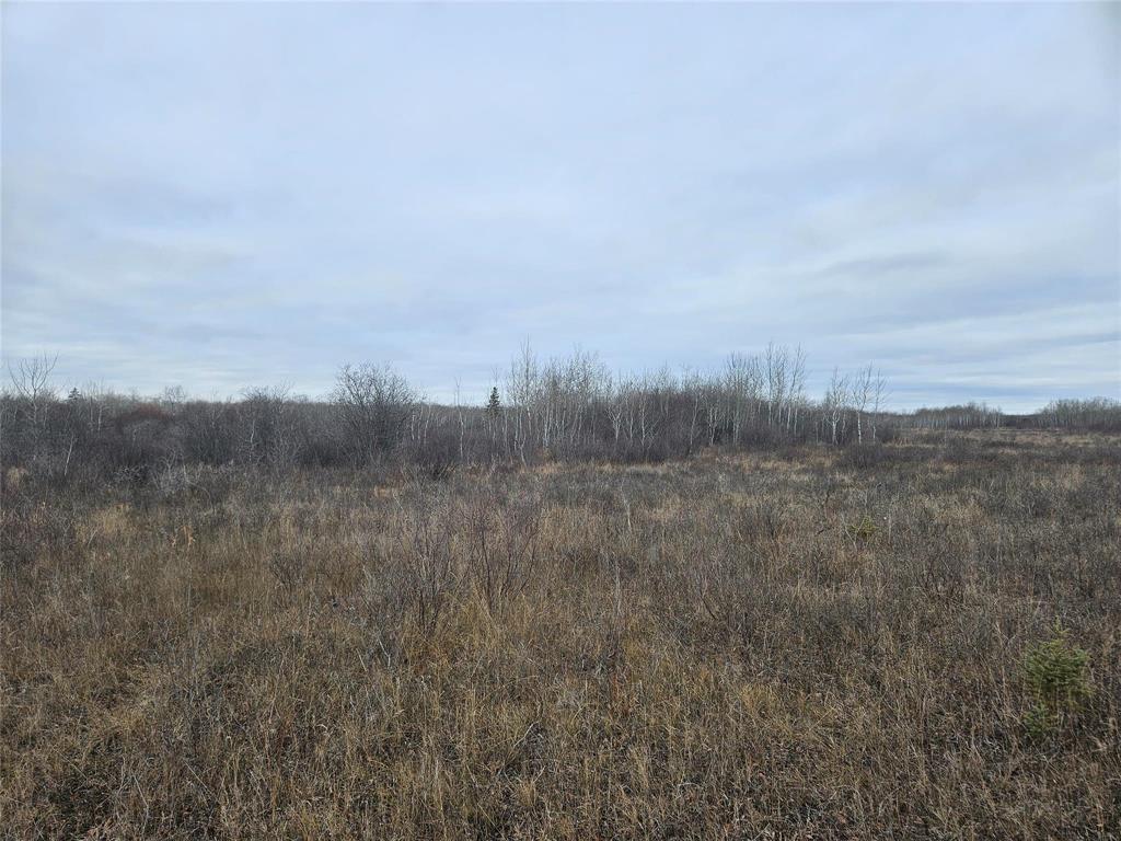 












0 15E Road

,
Armstrong,







Manitoba
R0C1B0

