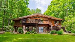 Beautiful raised Viceroy on Pickerel Lake!