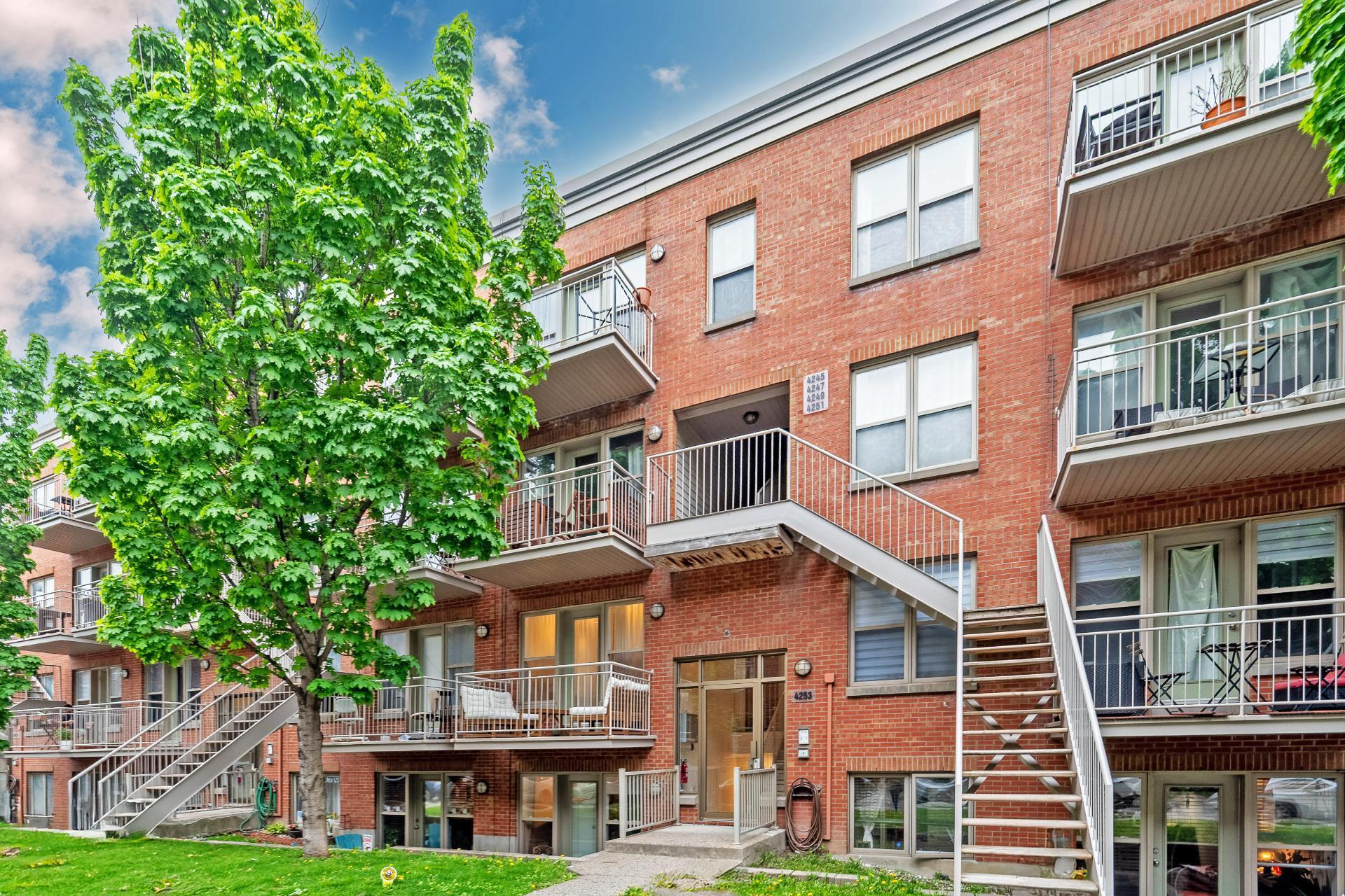 









4253


Rue De Richelieu

, 102,
Montréal (Le Sud-Ouest),




QC
H4C1A1

