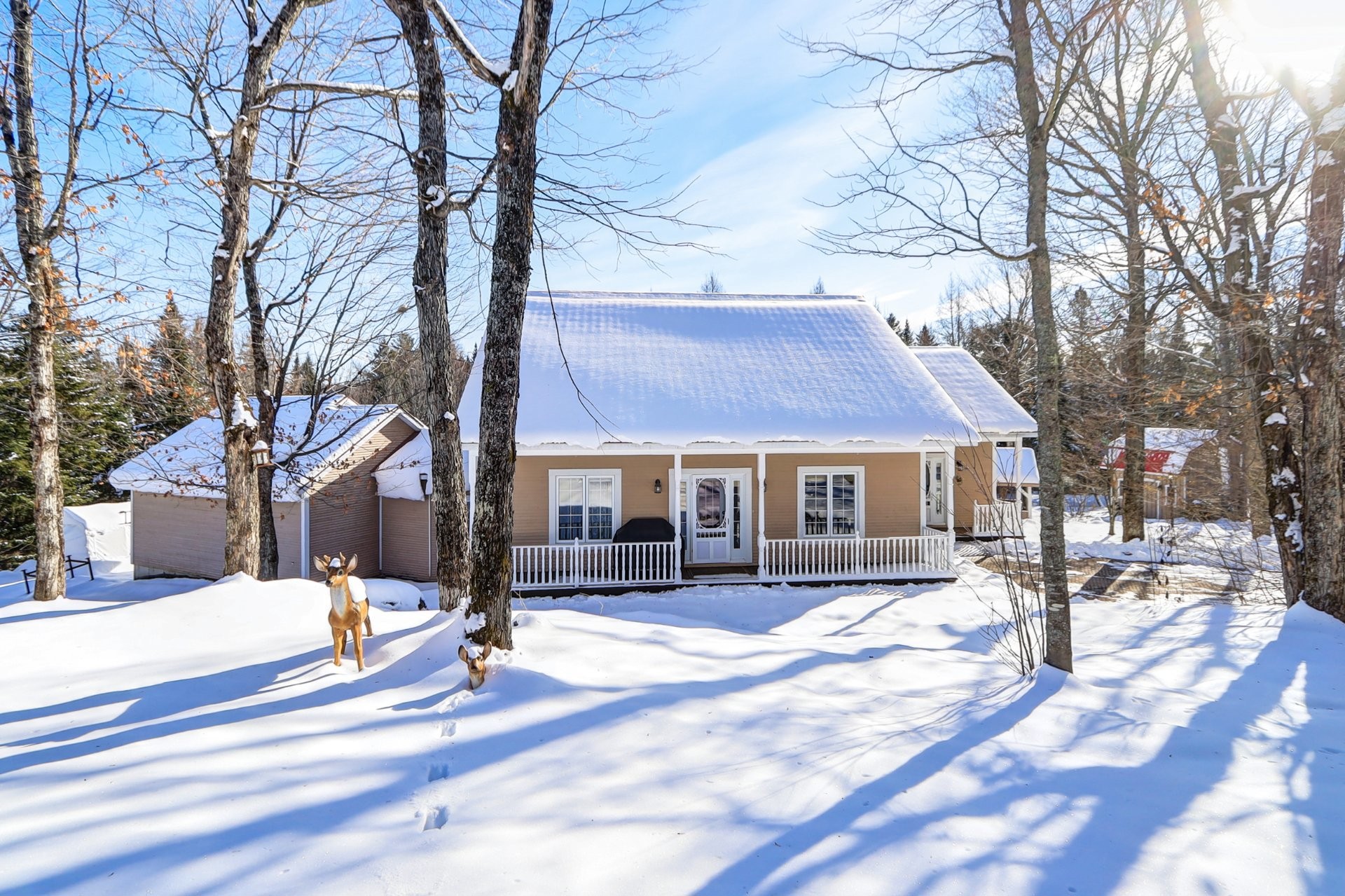 









93

 - 93A


Rue du Joli-Bois

,
Sainte-Marguerite-du-Lac-Masson,




QC
J0T1L0

