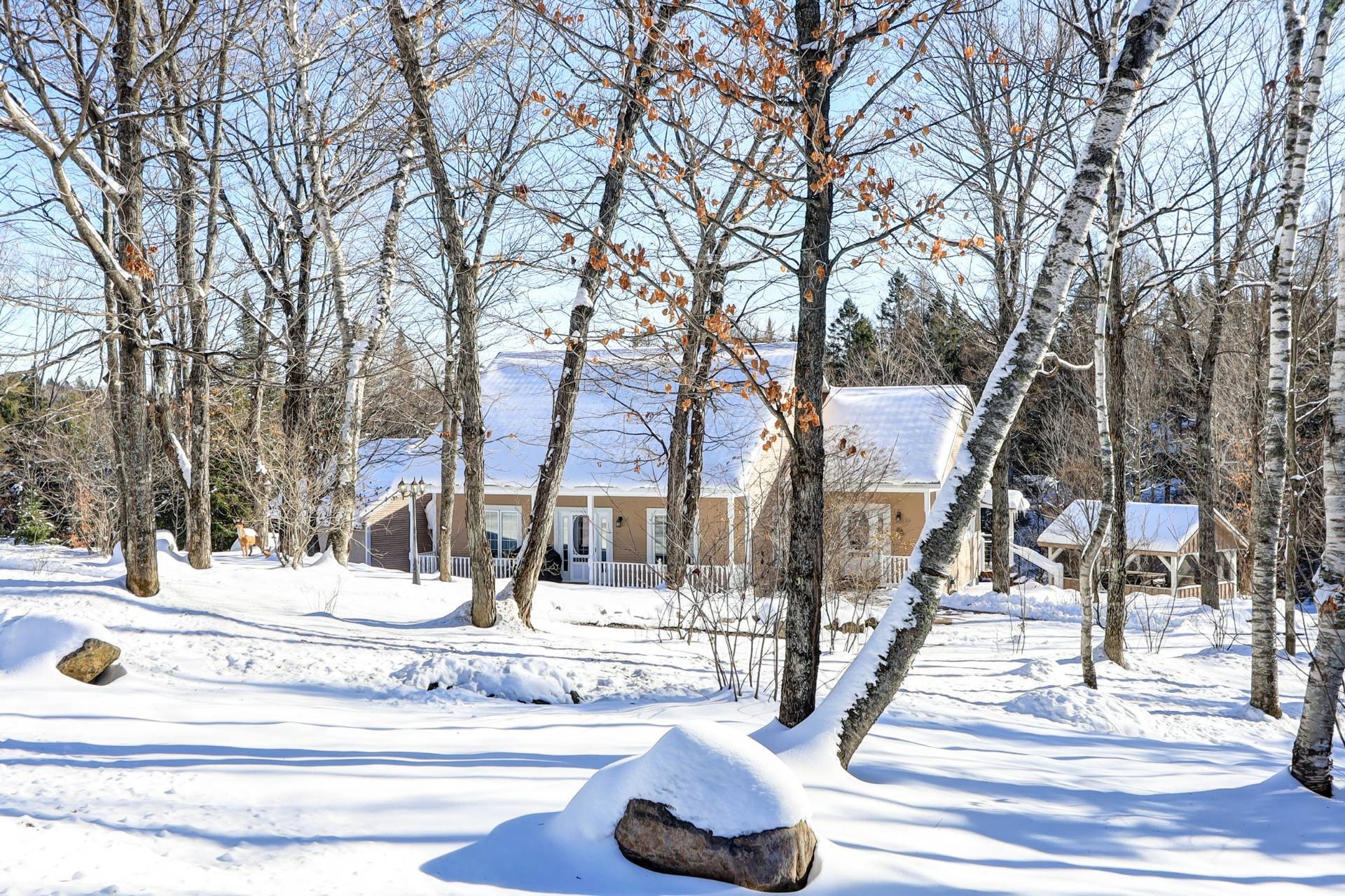 









93

 - 93A


Rue du Joli-Bois

,
Sainte-Marguerite-du-Lac-Masson,




QC
J0T1L0

