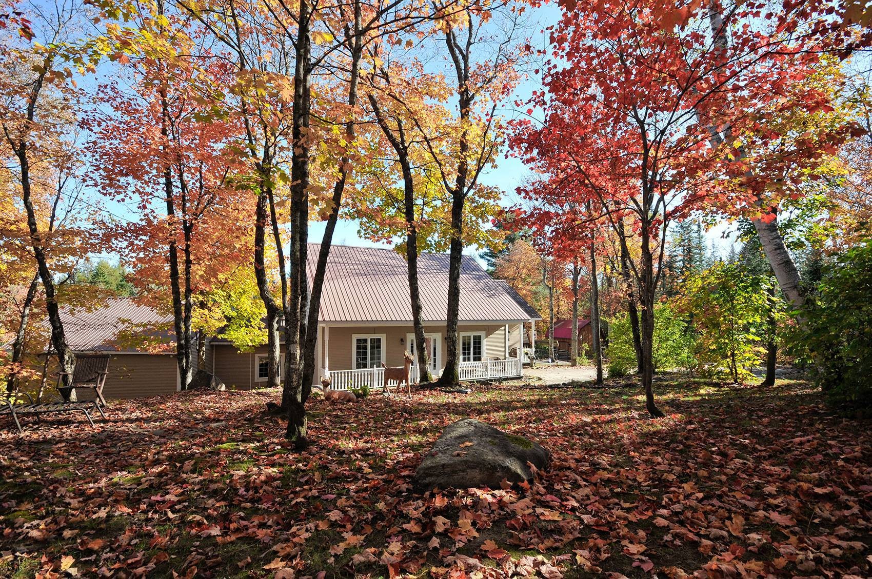 









93

 - 93A


Rue du Joli-Bois

,
Sainte-Marguerite-du-Lac-Masson,




QC
J0T1L0

