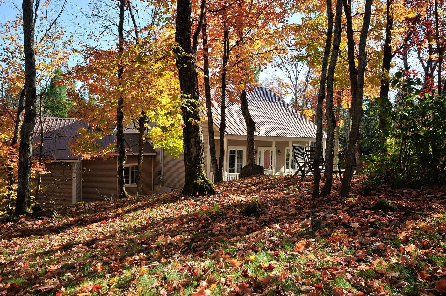 









93

 - 93A


Rue du Joli-Bois

,
Sainte-Marguerite-du-Lac-Masson,




QC
J0T1L0

