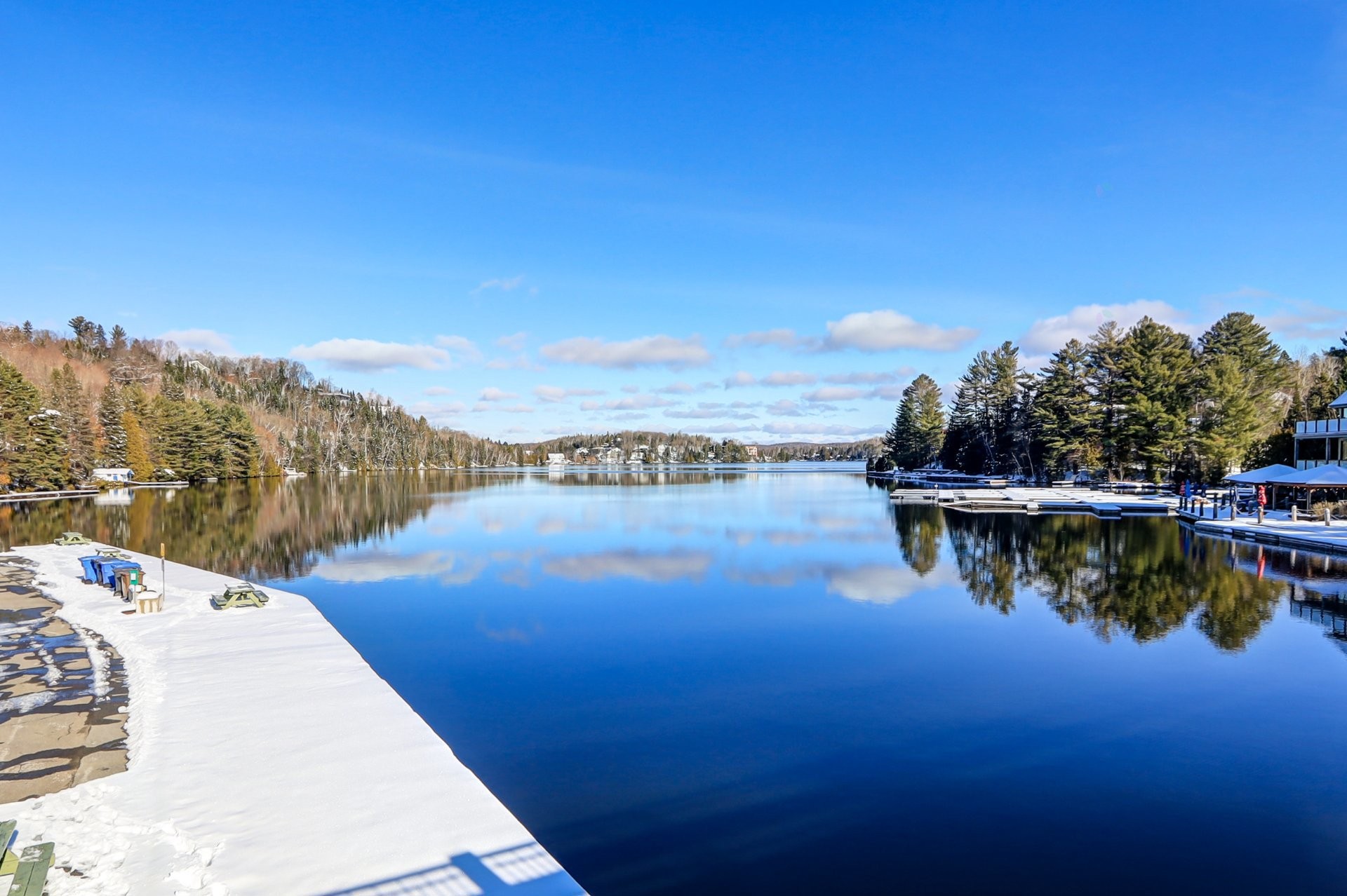 









93

 - 93A


Rue du Joli-Bois

,
Sainte-Marguerite-du-Lac-Masson,




QC
J0T1L0

