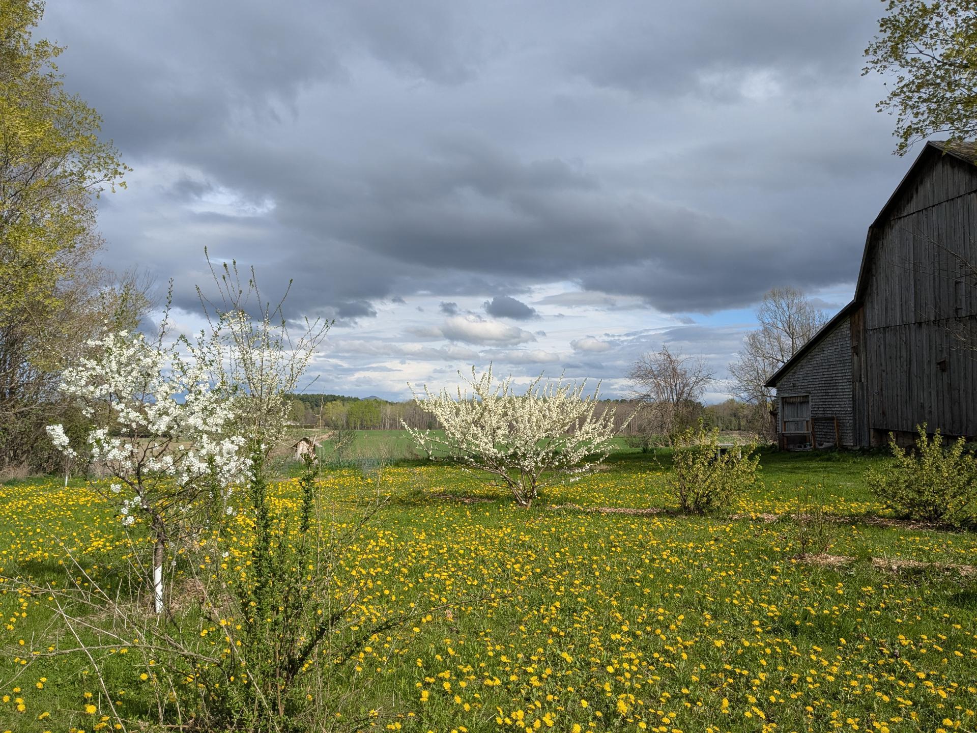 









726


Ch. de Philipsburg

,
Bedford - Canton,




QC
J0J1A0

