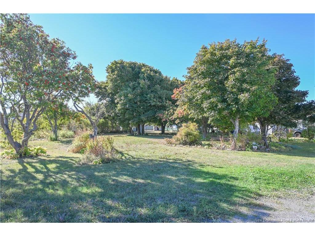 









142


Boul Saint-Pierre E.

BLVD,
Caraquet,




NB
E1W 1B1

