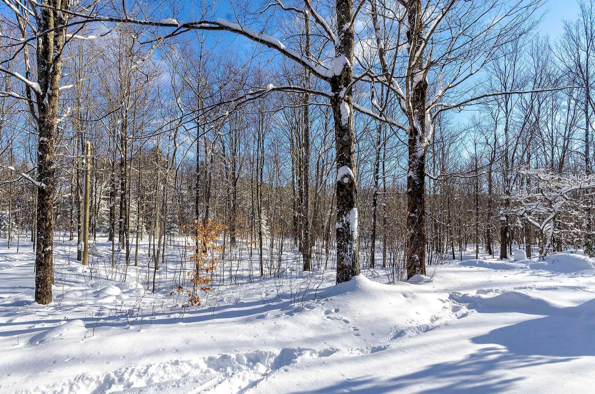 









500


Ch. Élie

,
Sutton,




QC
J0E2K0

