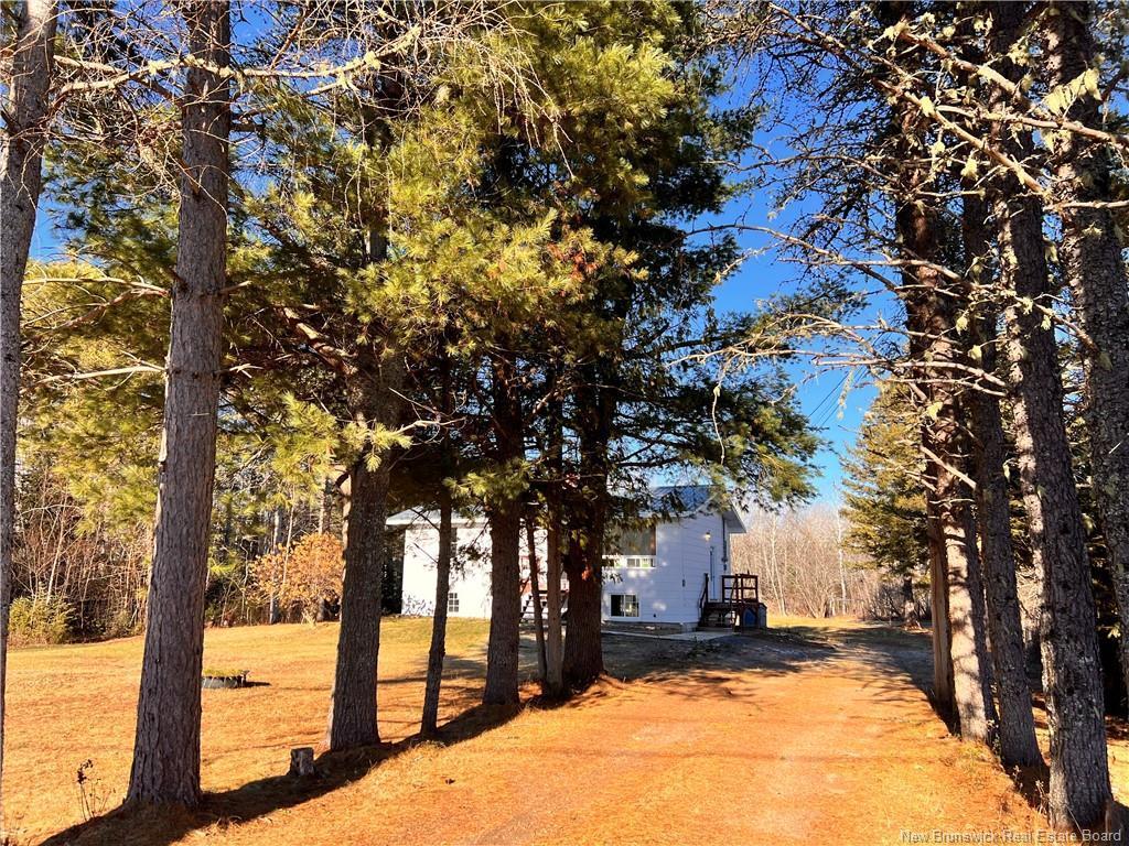 









2758


Sainte-Anne

RD,
Sainte-Anne,




NB
E2A 3Y3

