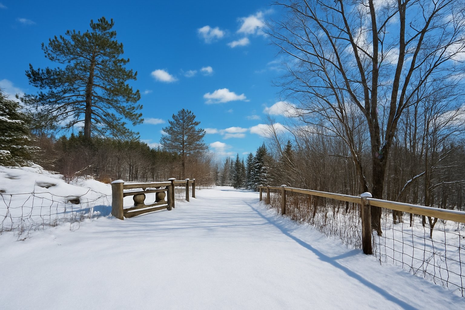 









508


Route de Mansonville

,
Potton,







QC
J0E1X0


