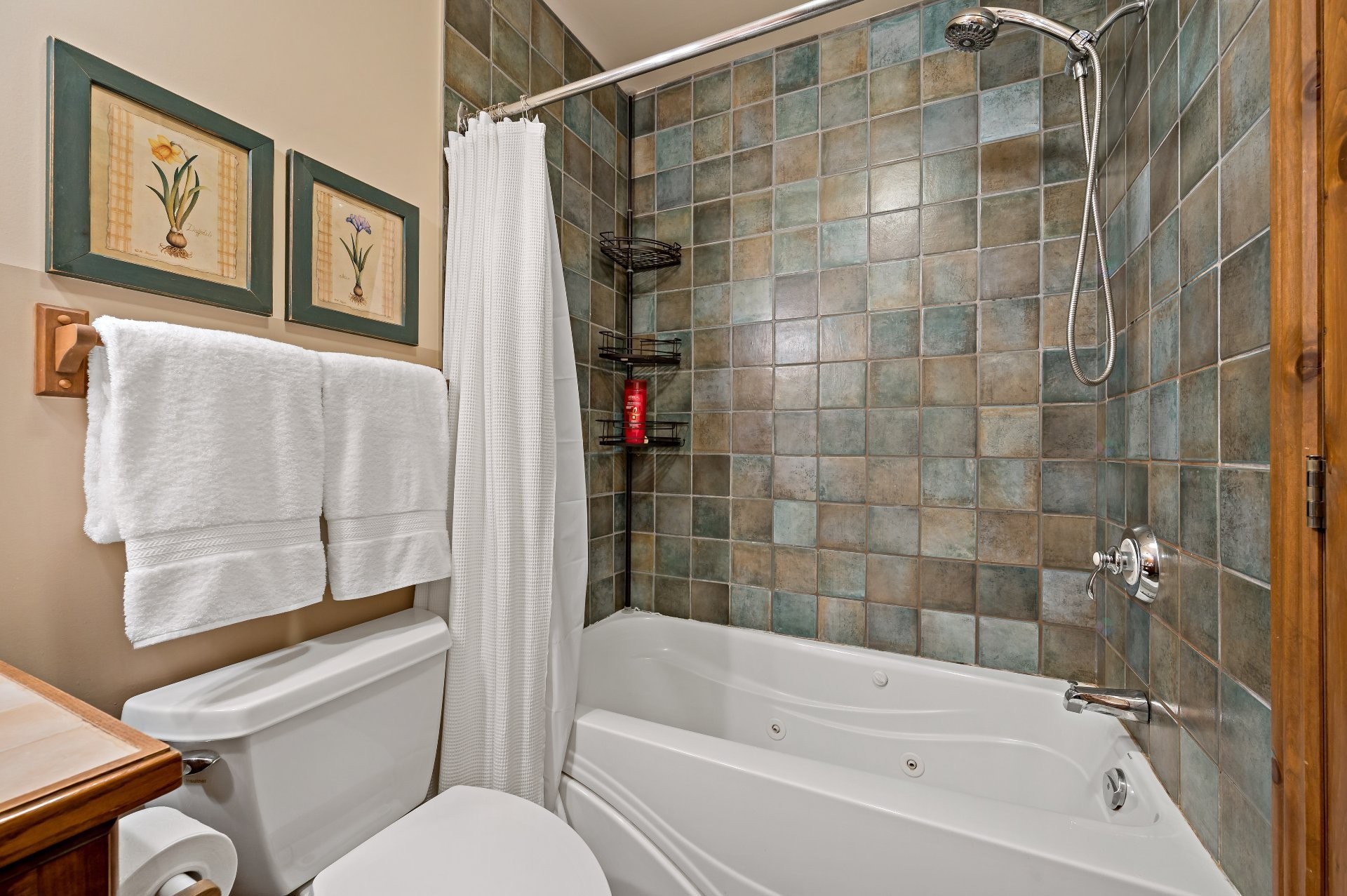 









175Z


Rue du Mont-Plaisant

, 4,
Mont-Tremblant,




QC
J8E1L2

