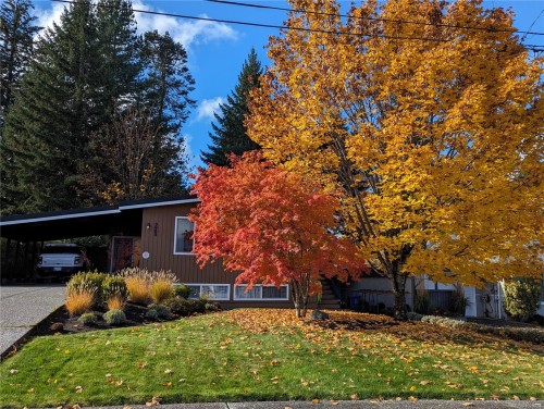 Featured Listing Photo 