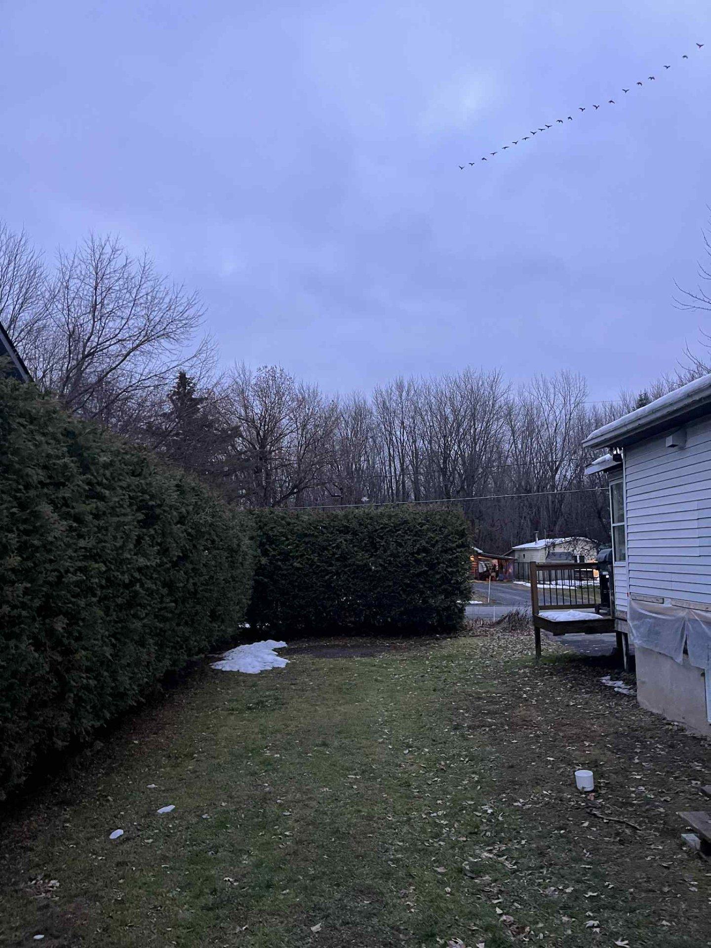 









38


Rue Joseph-Albert-Morin

,
Saint-Jean-sur-Richelieu,




QC
J2X5S1

