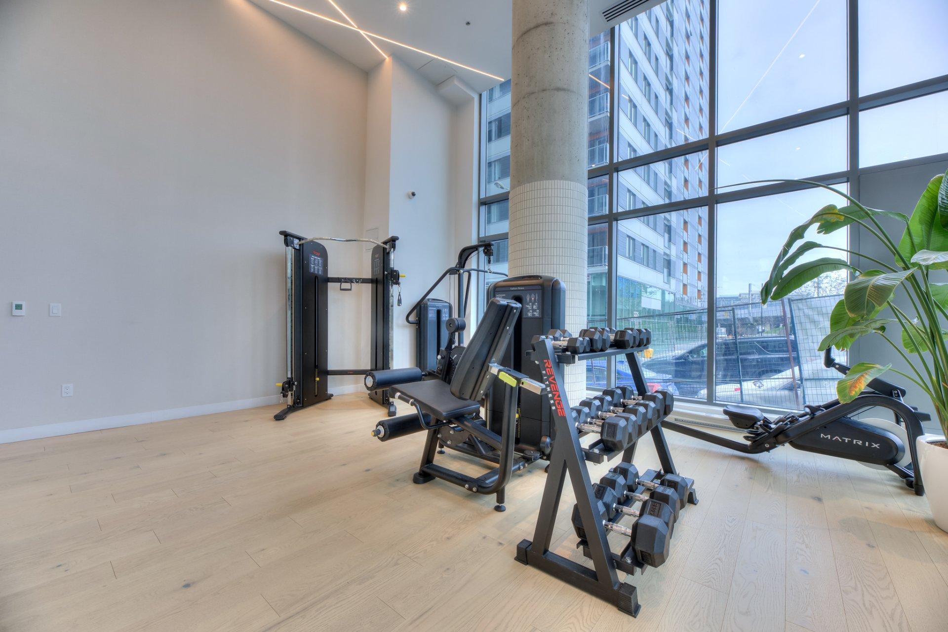 









100


Rue Murray

, 104,
Montréal (Le Sud-Ouest),




QC
H3C1A2

