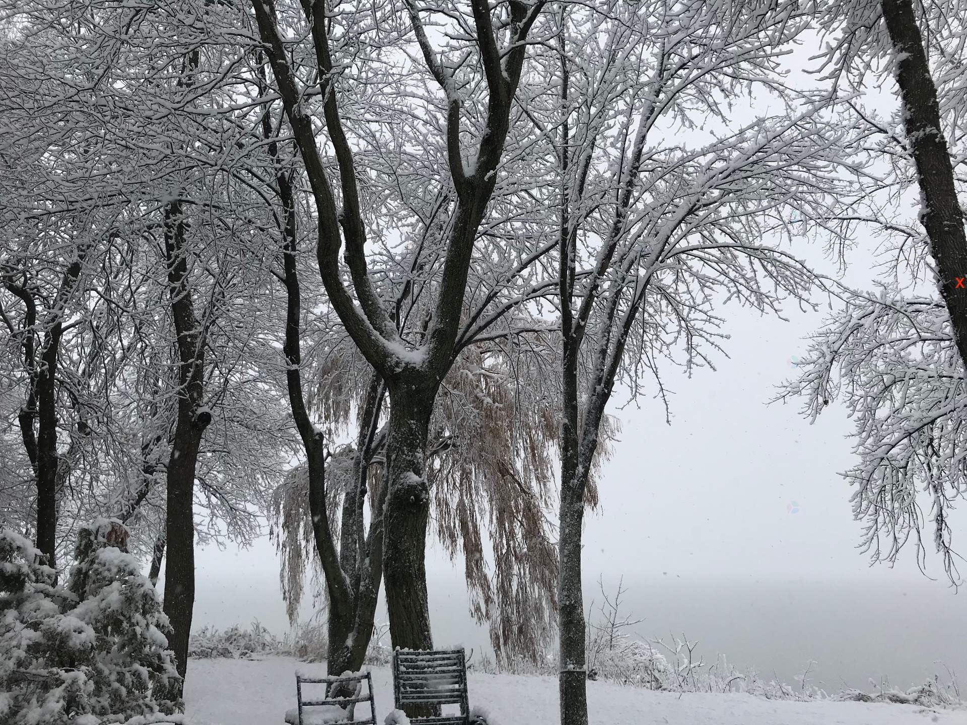 









2336


Rue Brayton

,
Clarenceville,




QC
J0J1B0

