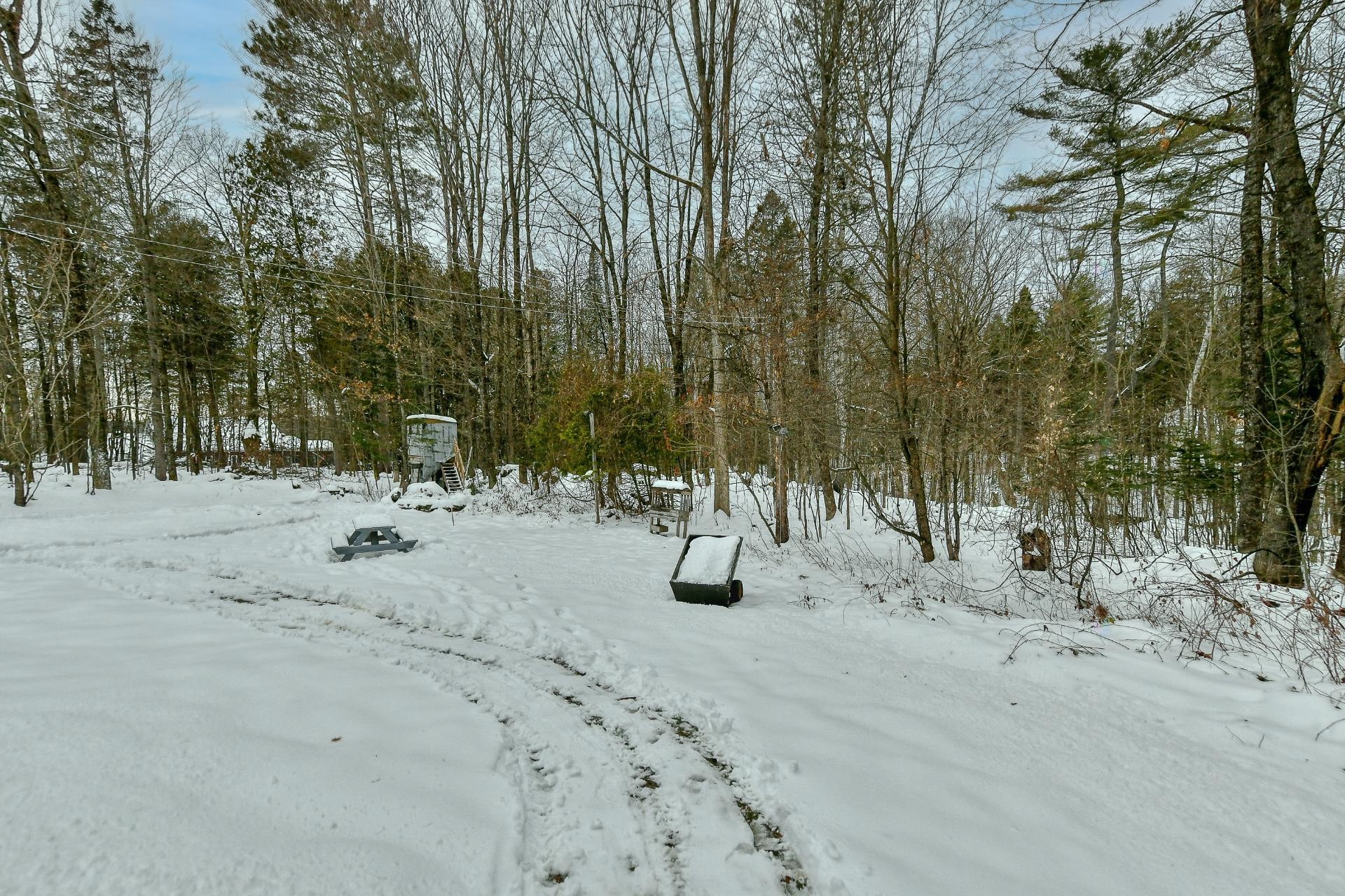 









1478


Rue Plamondon

,
Prévost,




QC
J0R1T0

