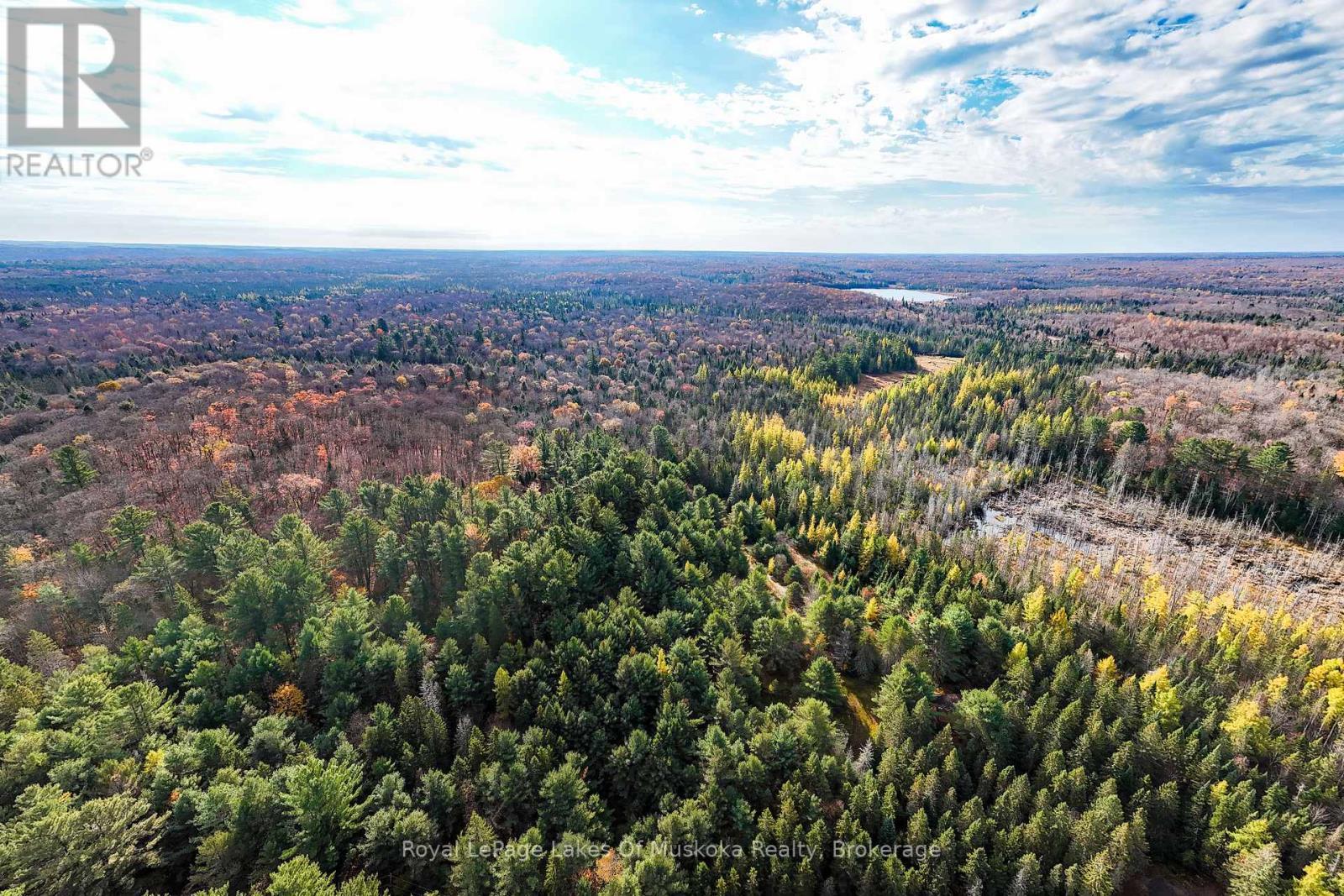 












267 CARDWELL LAKE ROAD

,
Huntsville (Stisted),







Ontario
P0B1M0

