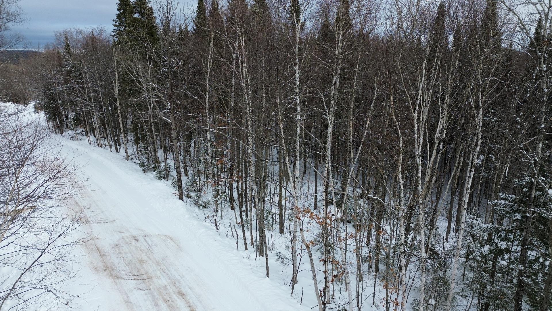 












Rue d'Innsbruck

,
Val-David,







QC
J0T2N0

