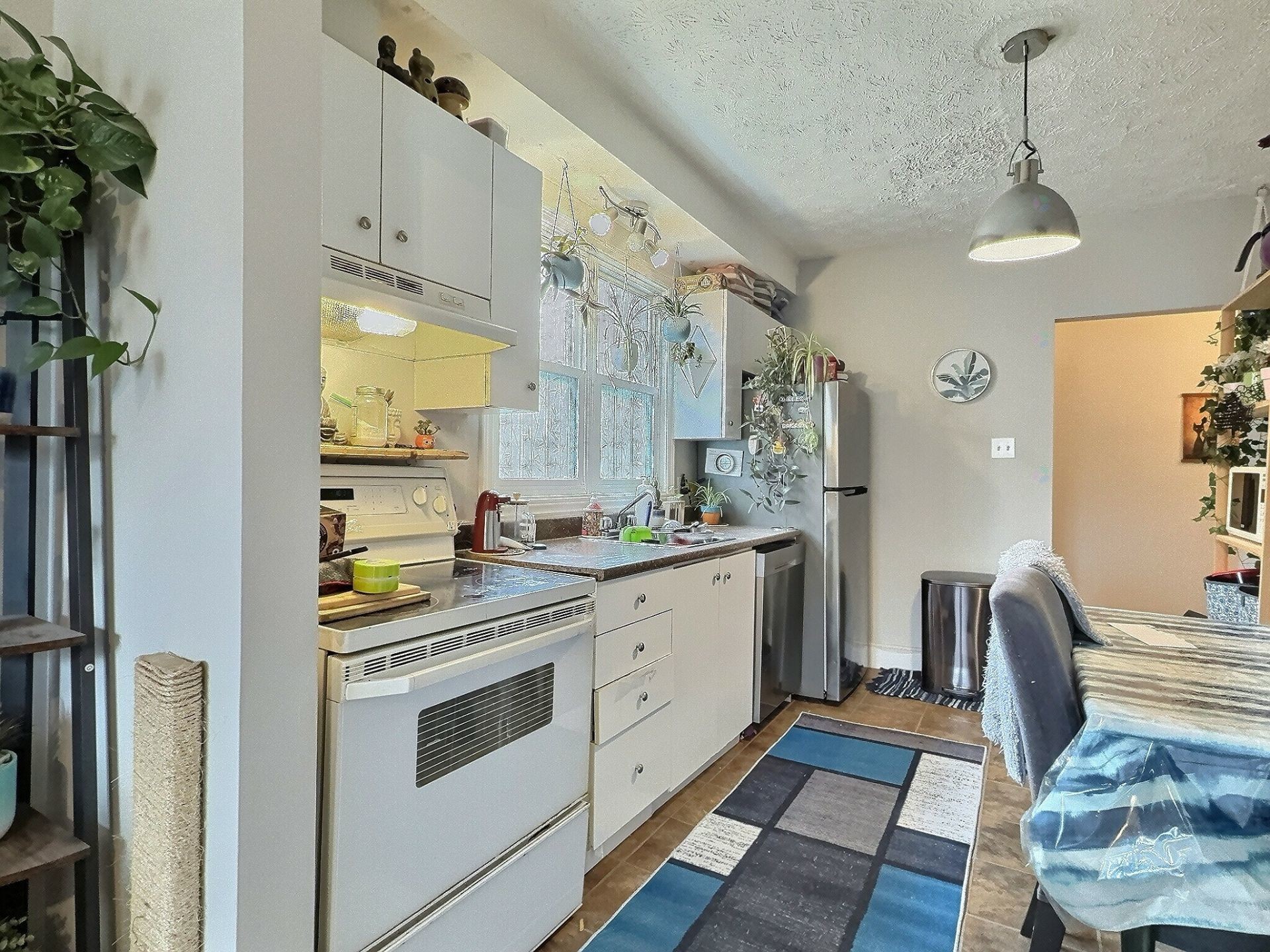 









523Z

 - 531Z


Rue King E.

,
Sherbrooke (Fleurimont),




QC
J1G1B6

