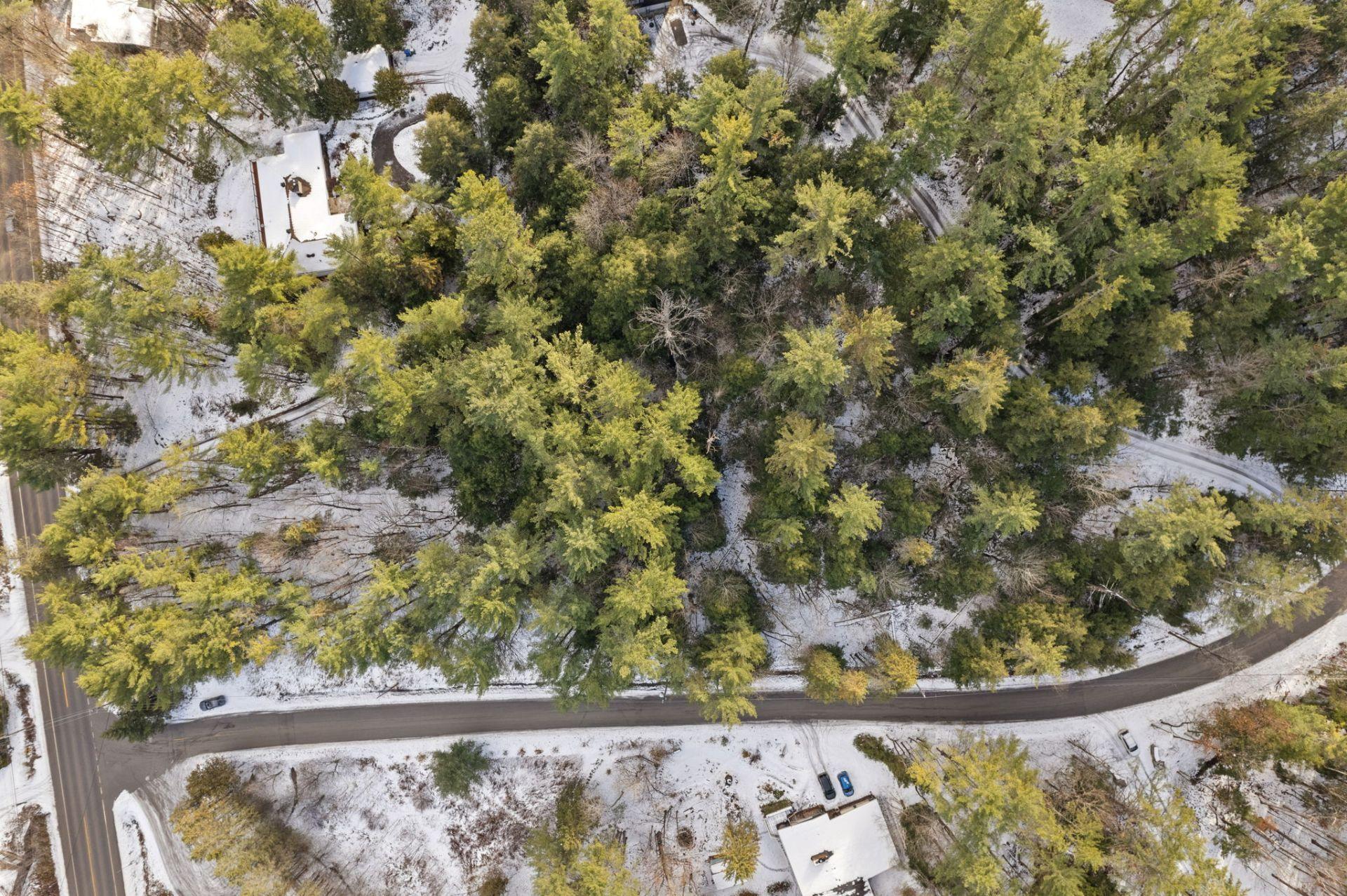 












Ch. Ojai

,
Chelsea,







QC
J9B1Y7

