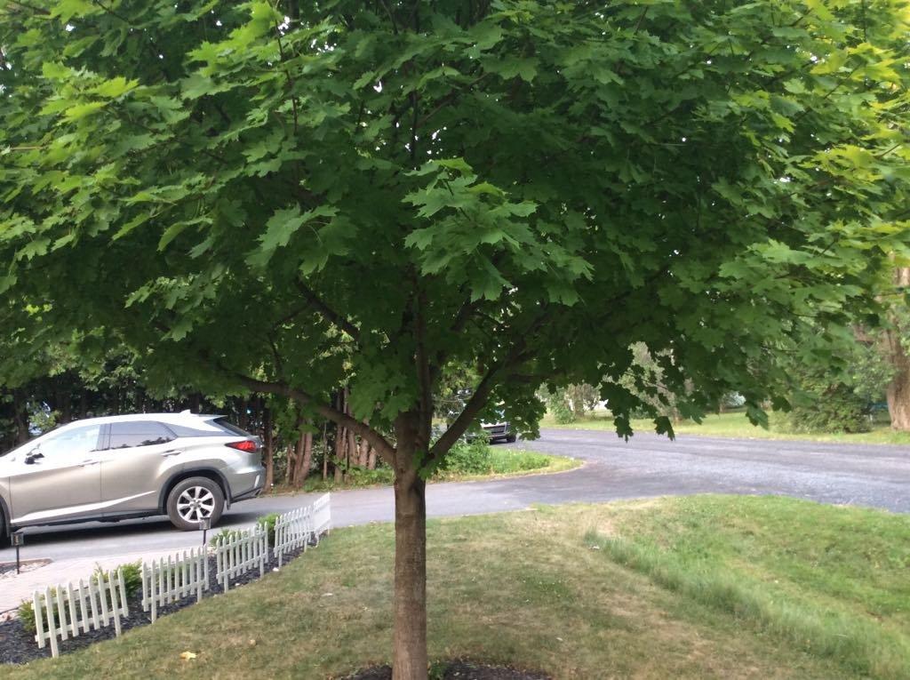 









480


Rue Brisebois

,
Saint-Jean-sur-Richelieu,




QC
J2Y0A4

