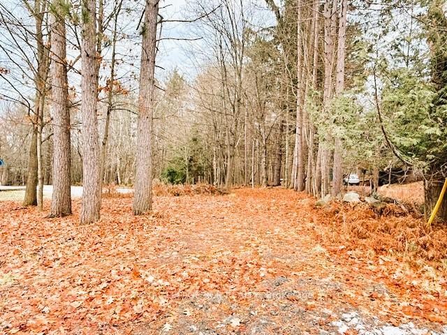 









93


TOWN LINE

Road West,
Huntsville,







ON
P1H 1S6

