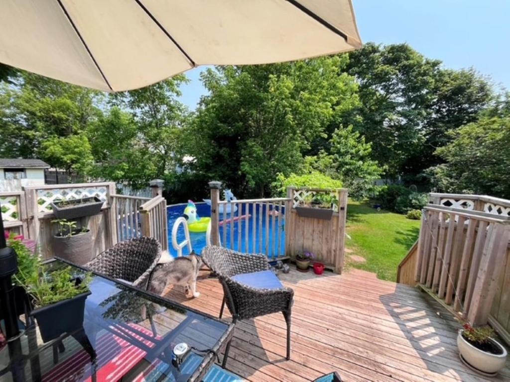 












77 Russell Street

,
Summerside,




PE
C1N 5H7

