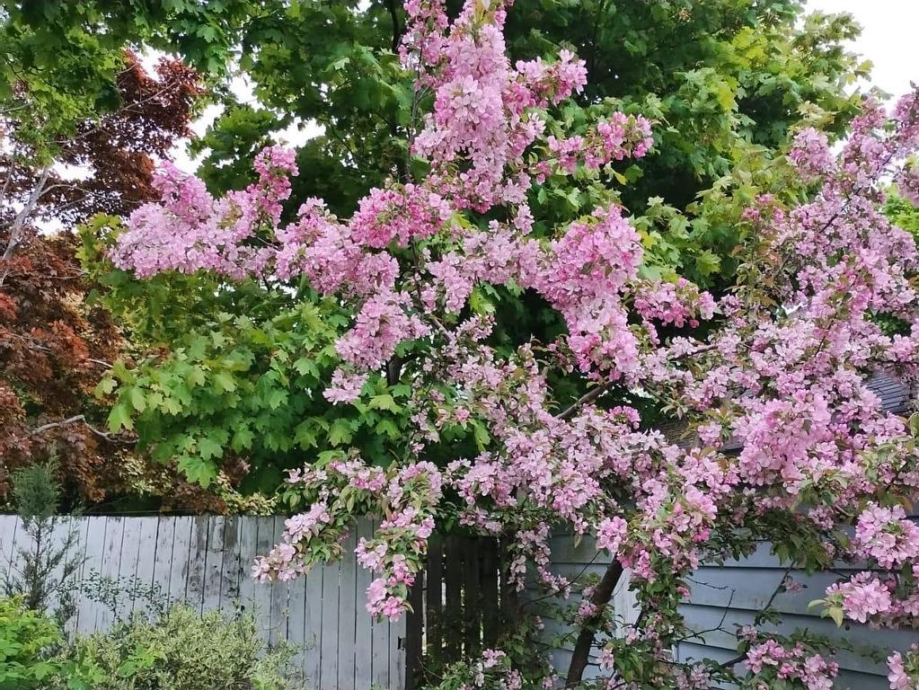 












77 Russell Street

,
Summerside,




PE
C1N 5H7

