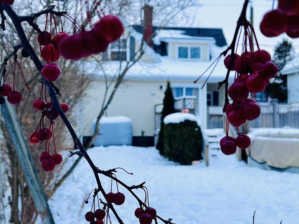 












77 Russell Street

,
Summerside,




PE
C1N 5H7

