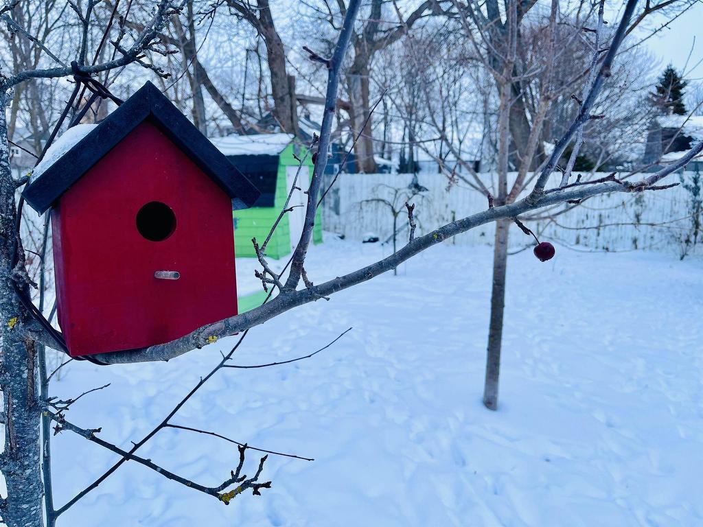 












77 Russell Street

,
Summerside,




PE
C1N 5H7

