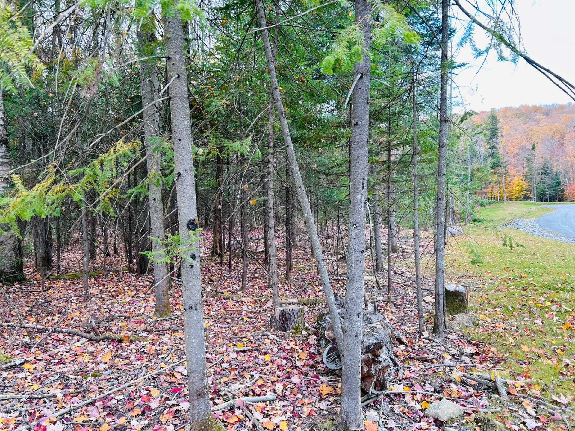 












Ch. des Marcheurs

,
Saint-Sauveur,







QC
J0R1R2

