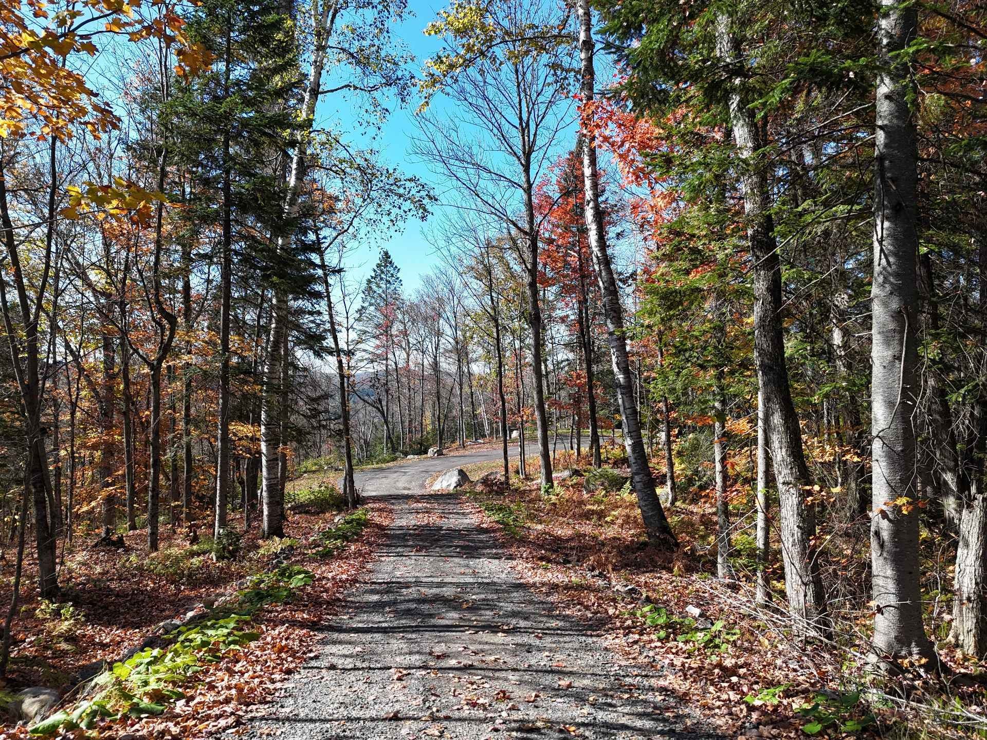 









207


Mtée du Val-de-Loire

,
Saint-Adolphe-d'Howard,




QC
J0T2B0

