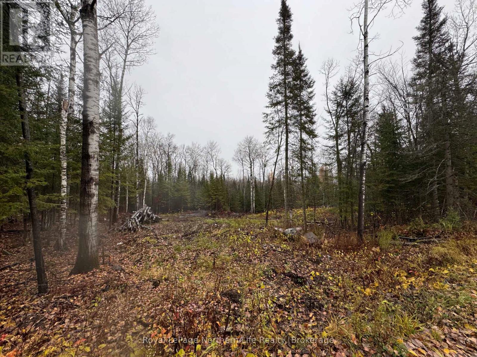 












PT E1/2 HILLCREST ROAD

,
East Ferris,







Ontario
P0H1B0

