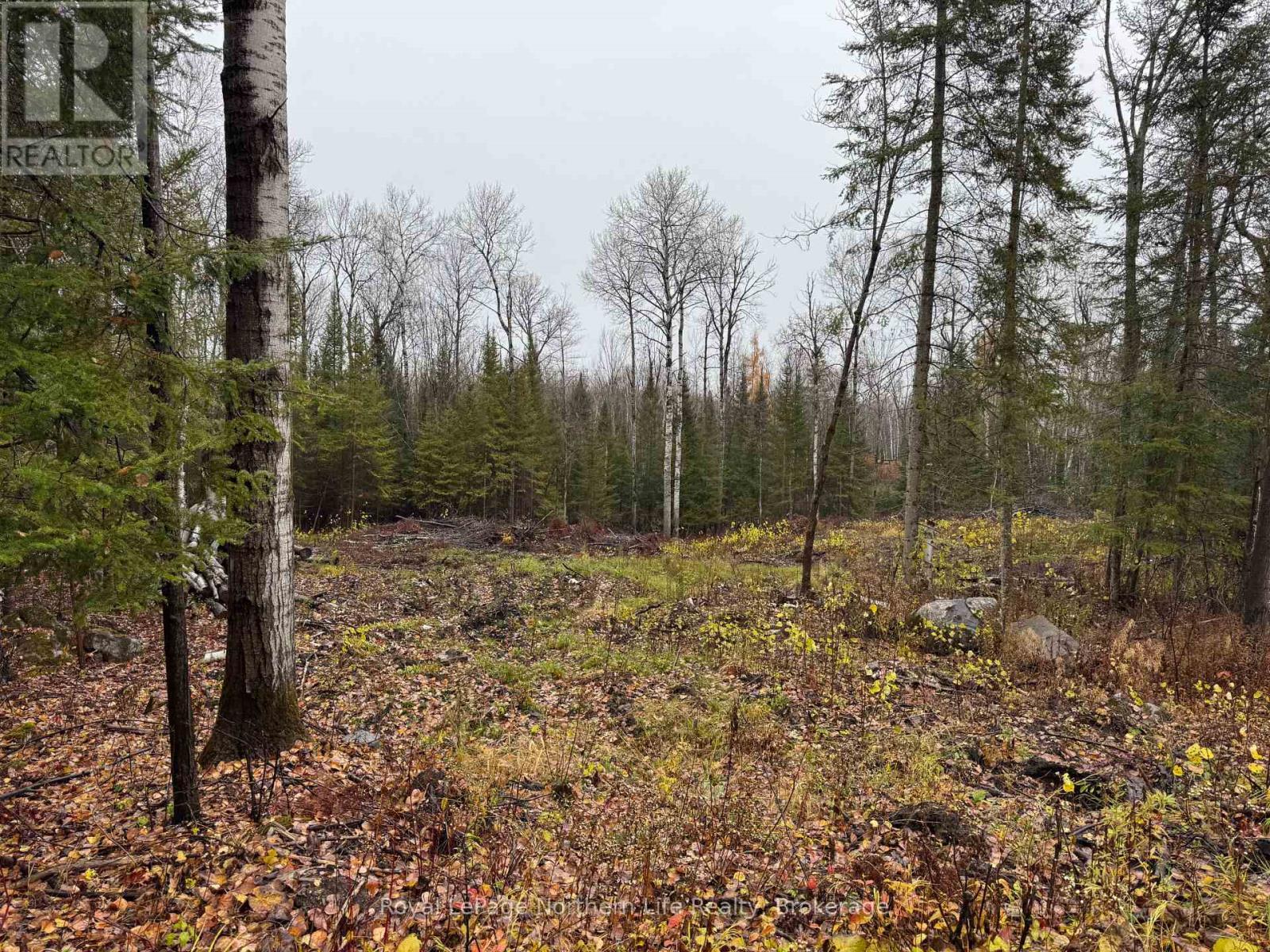 












PT E1/2 HILLCREST ROAD

,
East Ferris,







Ontario
P0H1B0

