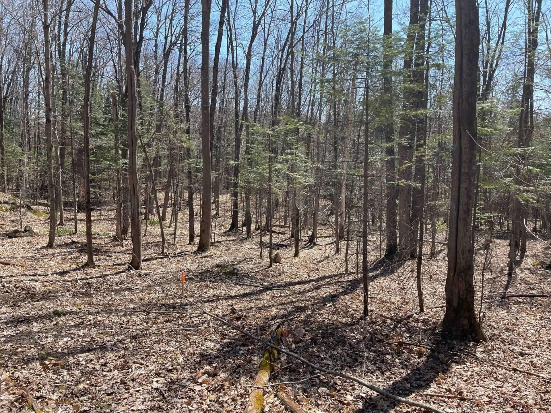 









124C


Ch. Pink

,
Cantley,







QC
J8V2Z5

