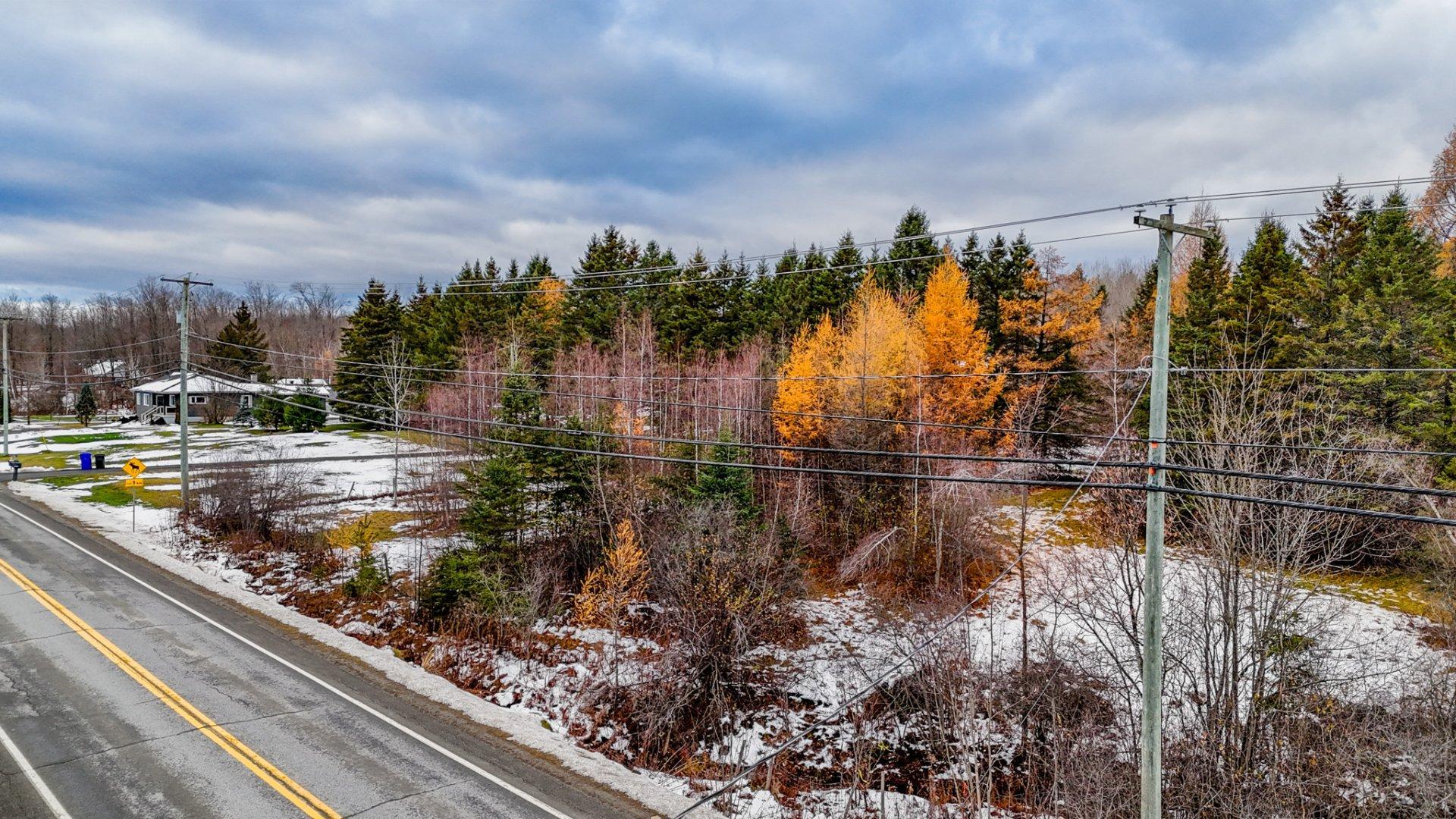 












Route 249

,
Saint-Denis-de-Brompton,







QC
J0B2P0

