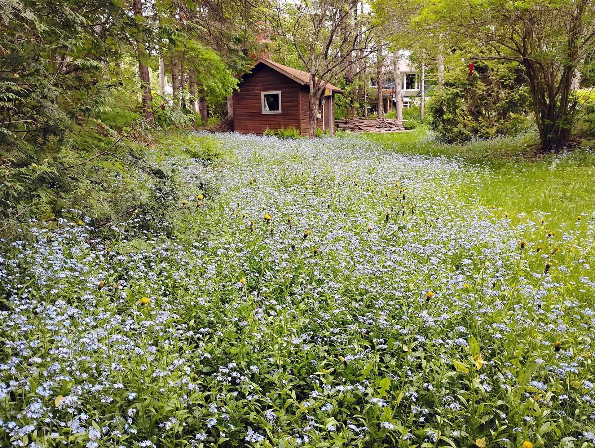 









1387


Rue du Bel-Automne

,
Sainte-Adèle,




QC
J8B2Y1

