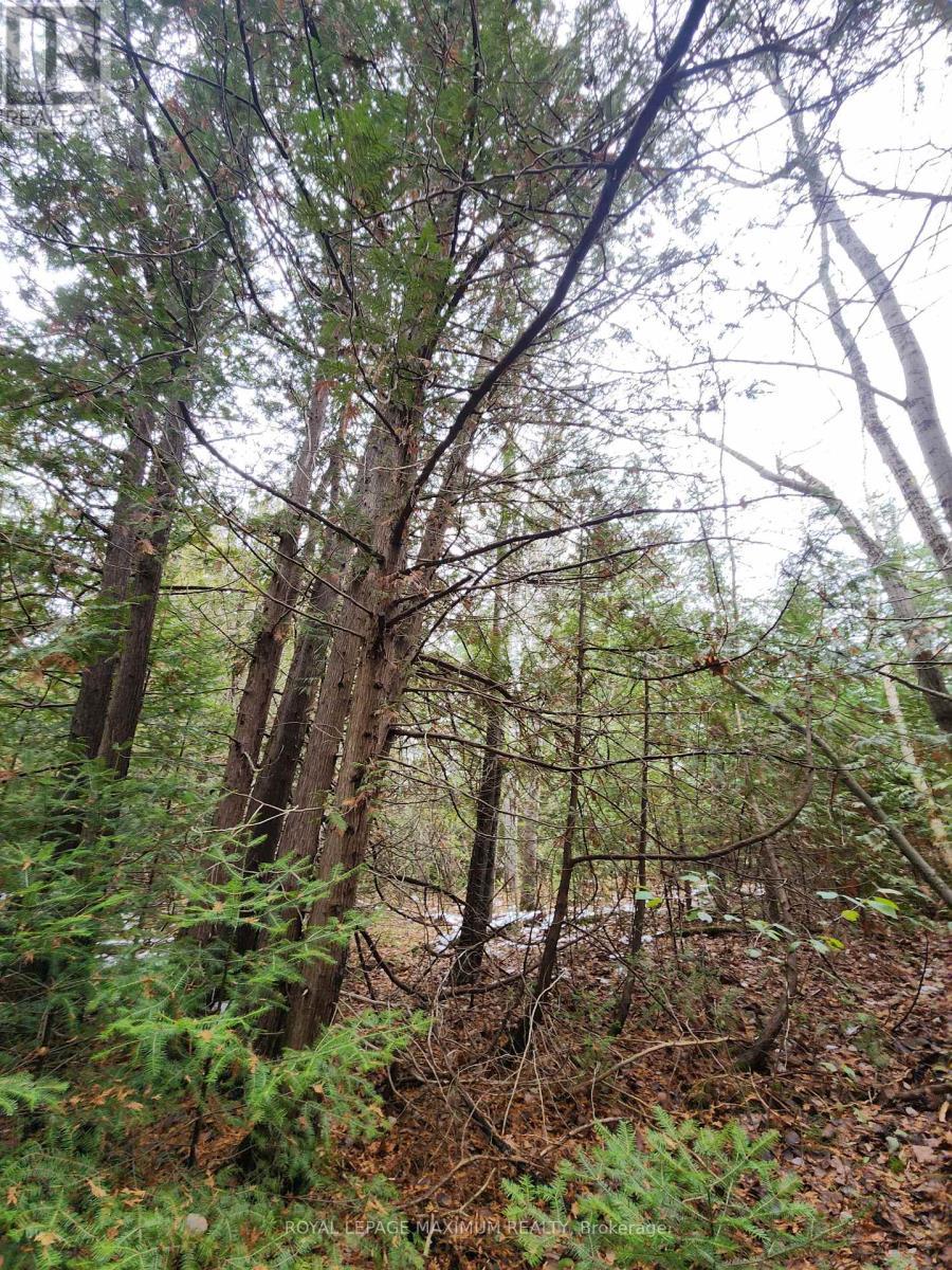 












10189 CONCESSION 3 ROAD

,
Uxbridge,







Ontario
L0E1T0

