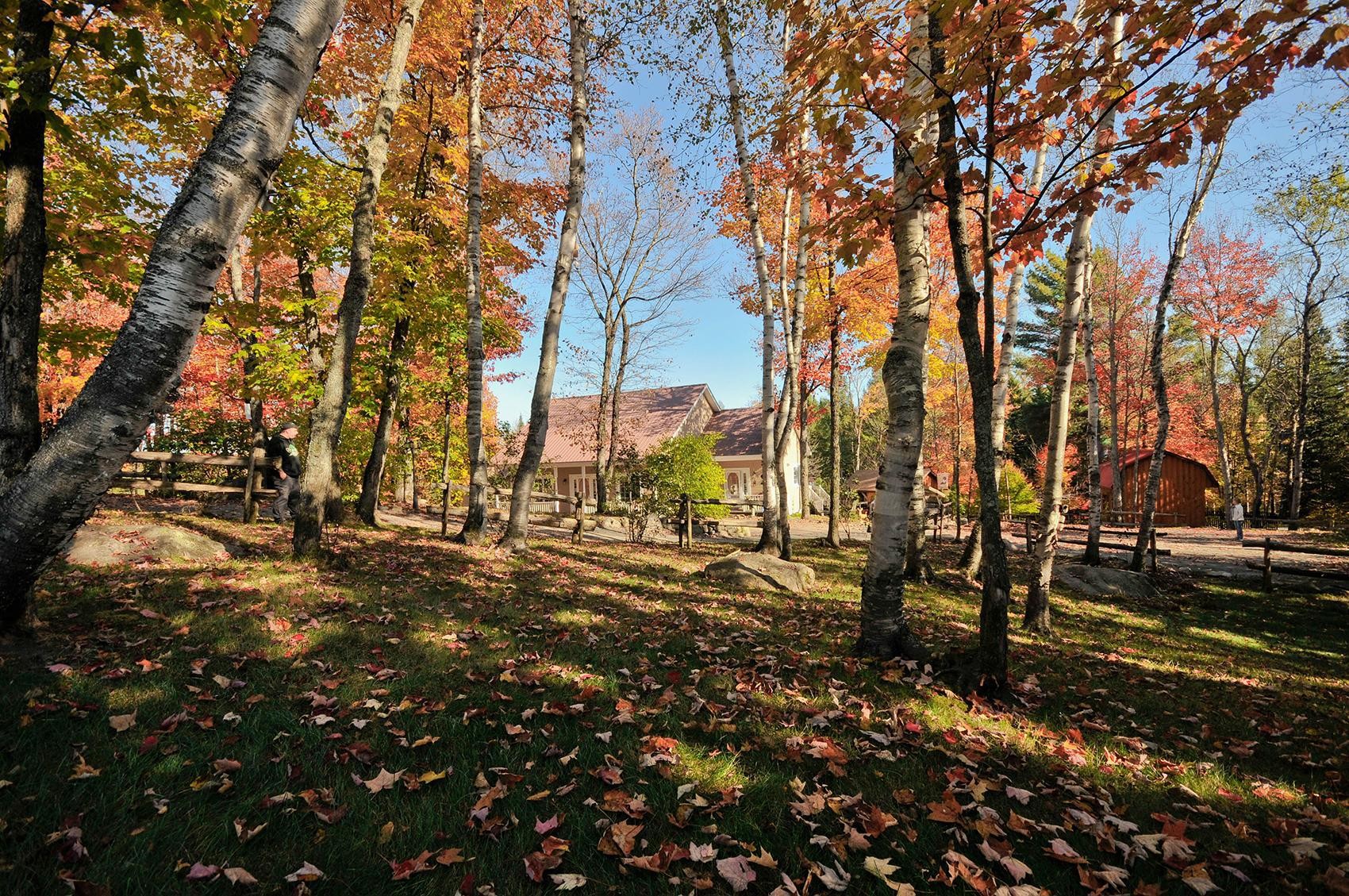 









93Z

 - 93AZ


Rue du Joli-Bois

,
Sainte-Marguerite-du-Lac-Masson,




QC
J0T1L0

