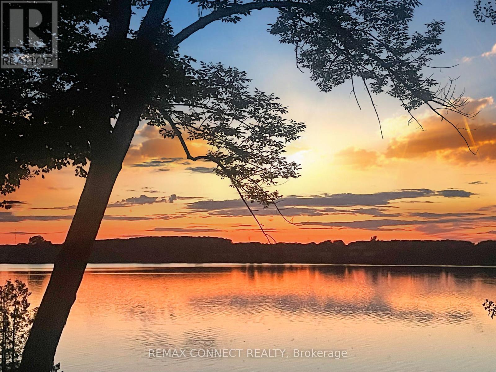 












209 - 50 HOLLOW LANE

,
Prince Edward County,







Ontario
K8N4Z4

