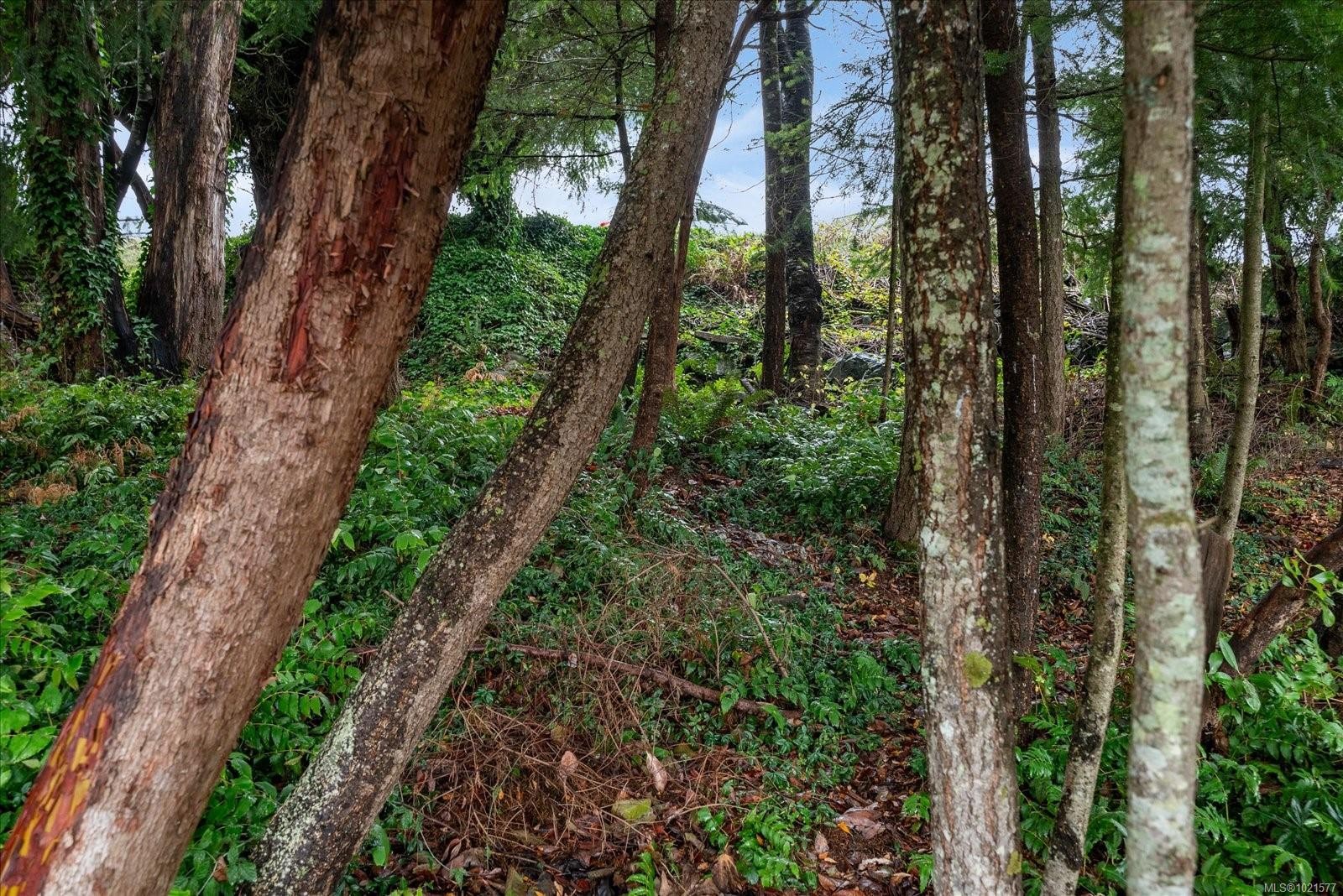 









1085


College

Dr,
Nanaimo,




BC
V9R 5V5

