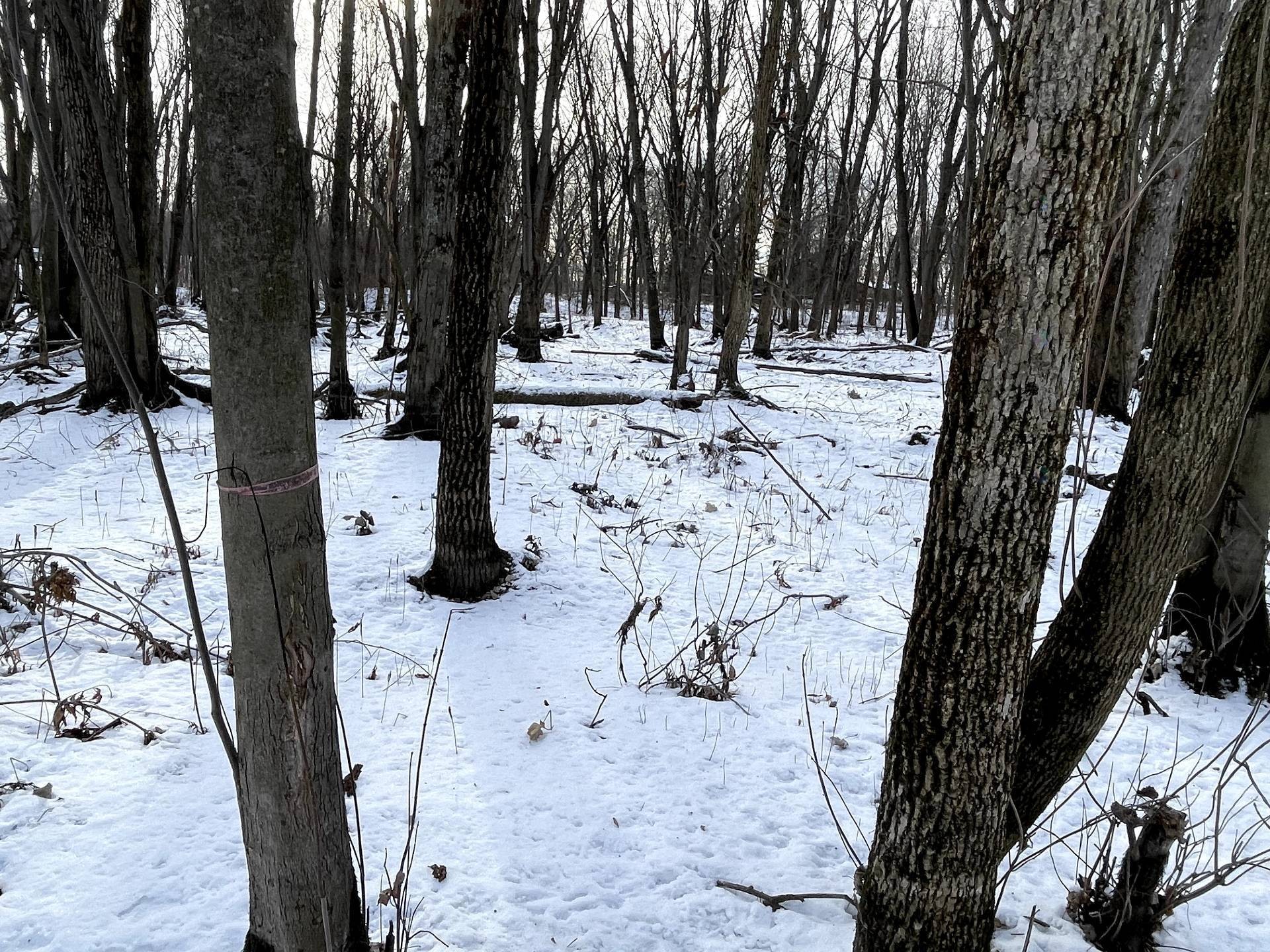 












Rue des Pionniers

,
Saint-André-d'Argenteuil,







QC
J0V1X0

